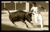 CALANDA ANILLAS (14)
