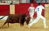 CALANDA ANILLAS (7)