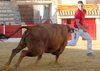 CALANDA ANILLAS (9)