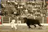 CALANDA ANILLAS (2)