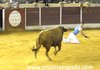 calanda3