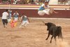 Chelva 2011 (20)