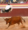 Chelva 2011 (11)