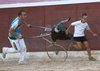 Chelva 2011 (17)