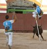 Chelva 2011 (14)