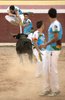 Chelva 2011 (5)